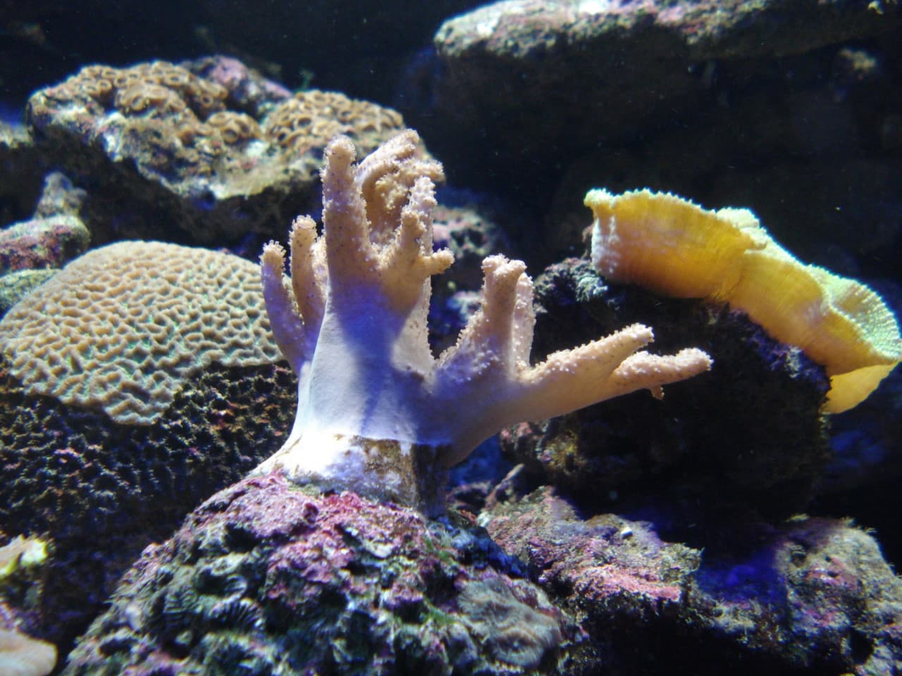Underwater World Langkawi Ticket - სურათი 8