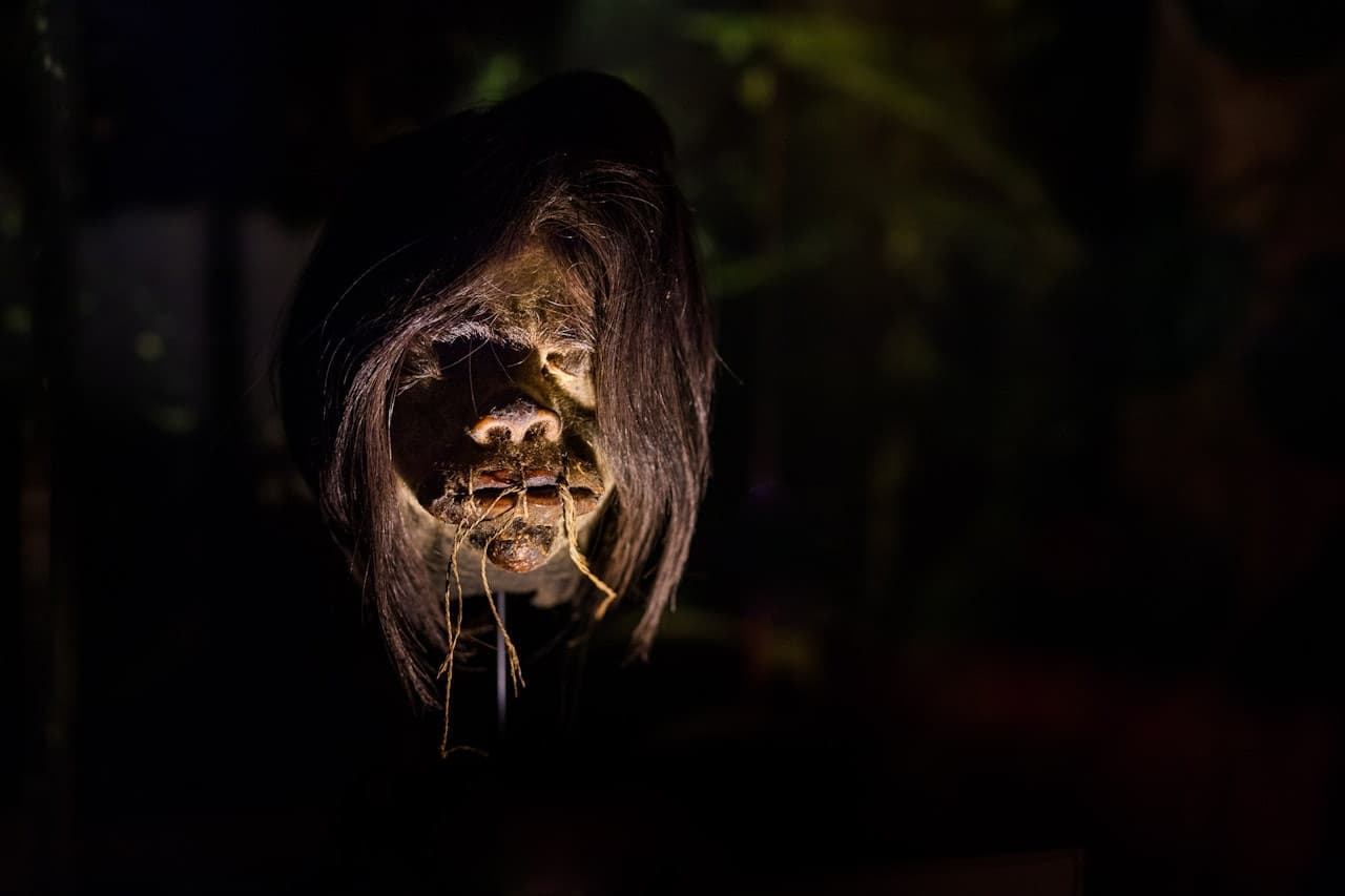 Ripley's Believe It or Not! Amsterdam - სურათი 6