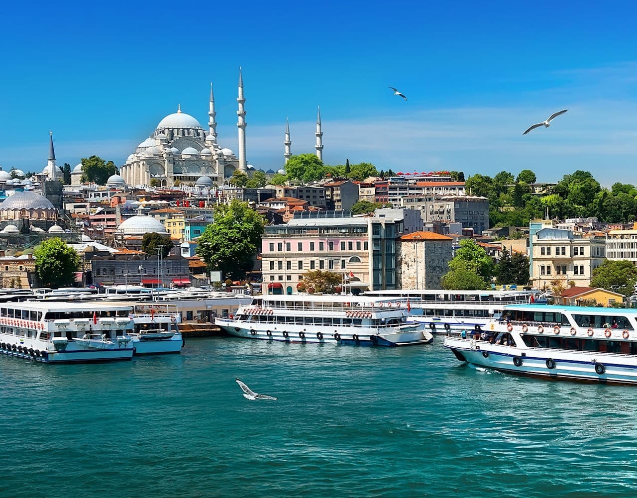 Bosphorus Sightseeing Cruise on a Luxury Yacht - სურათი 6