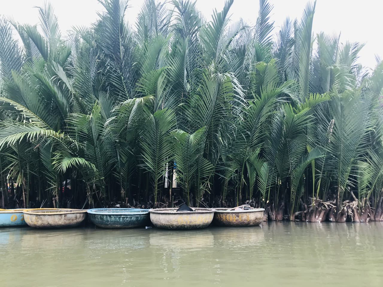 Hoi An Coconut Forest Basket Boat Ride - სურათი 9