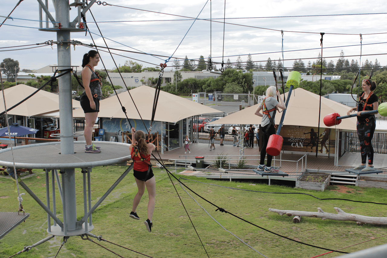 MegaClimb at West Beach Adventure Adelaide - სურათი 6