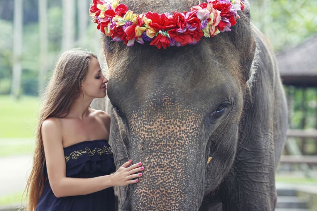Mason Elephant Park Bali by Mason Adventures (Formerly known as Elephant Safari Park) - სურათი 2
