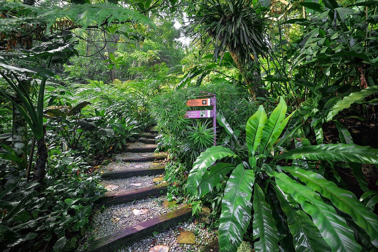 Tropical Spice Garden Penang - სურათი 3