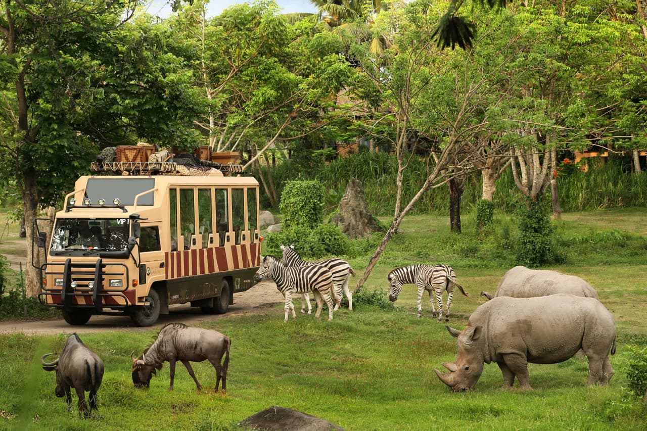 Bali Safari Park Ticket - მთავარი სურათი