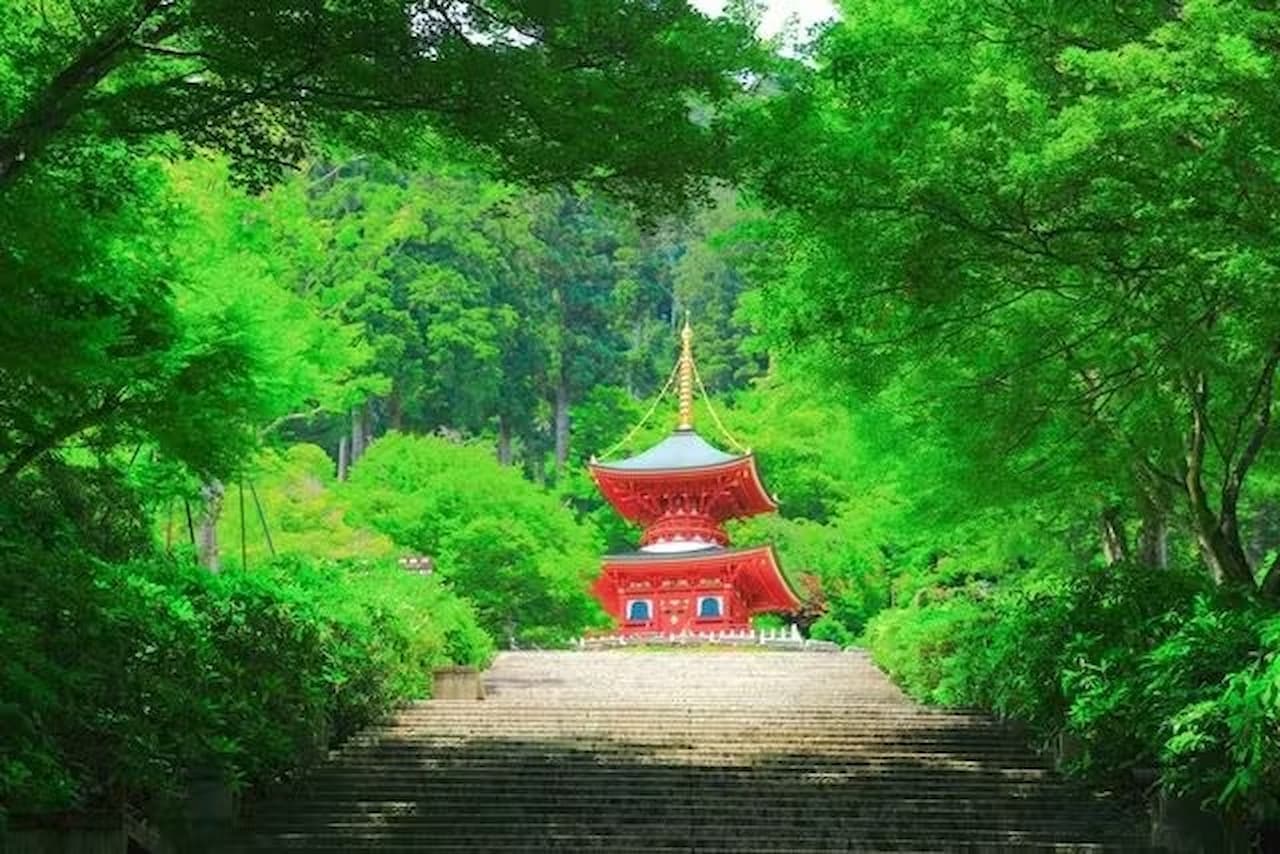 Katsuo-ji Temple Ticket - სურათი 8