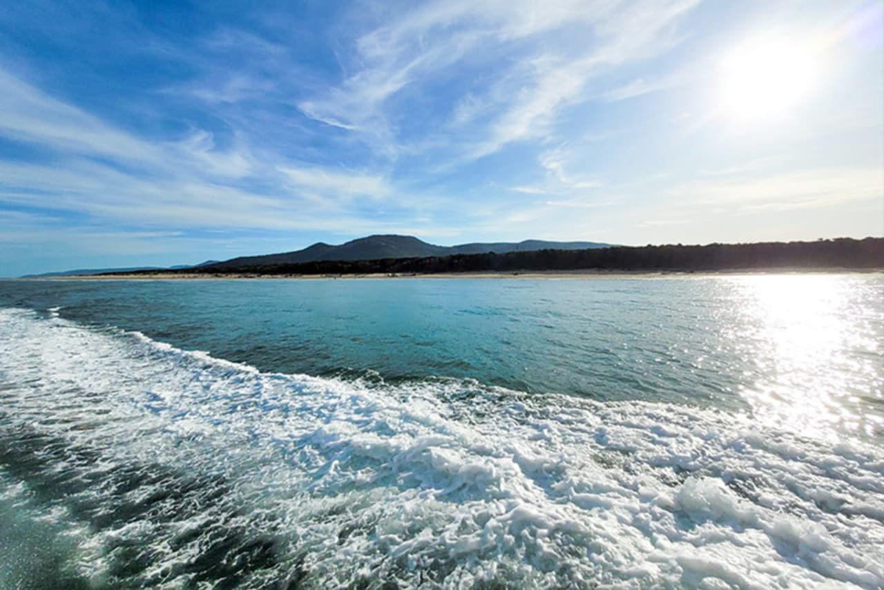 Wilsons Promontory Whale Watching Sightseeing Cruise - სურათი 5