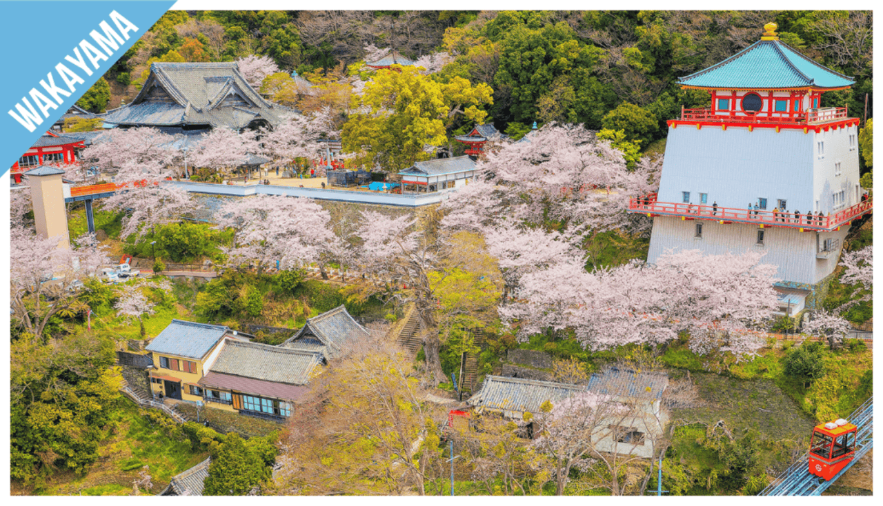 Have Fun in Wakayama Pass - 1 Week Free Pass - სურათი 9