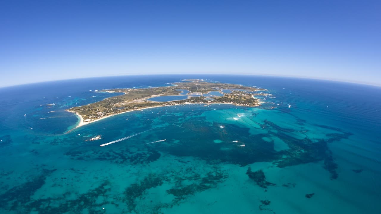 Round Trip SeaLink Ferry to Rottnest Island - სურათი 6