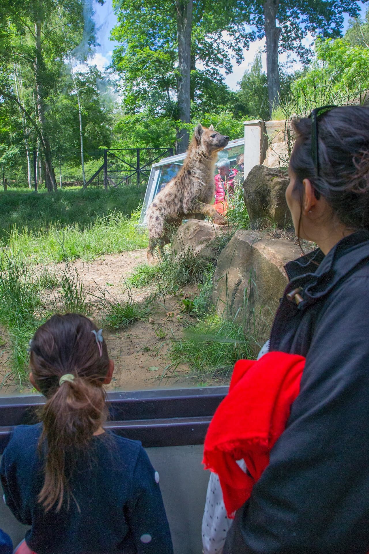 Thoiry ZooSafari: Skip The Line - სურათი 13