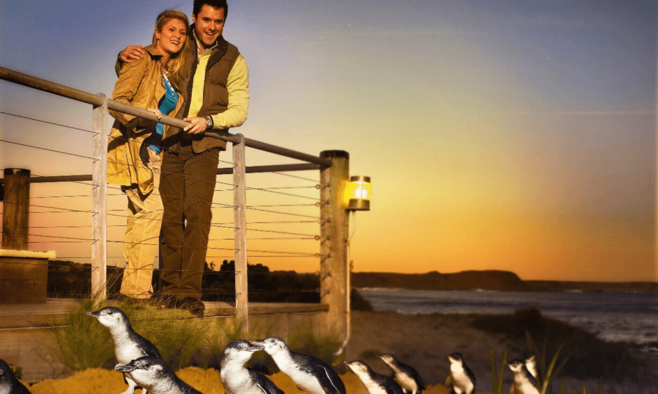 Phillip Island with Penguin Parade Eco Tour - სურათი 15
