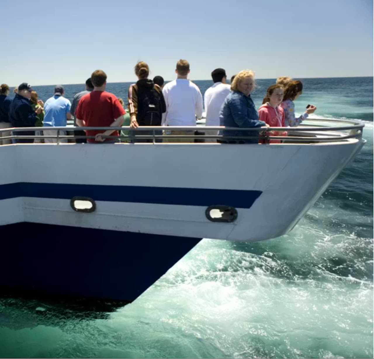 Boston Harbor Whale Watch Cruise - სურათი 3