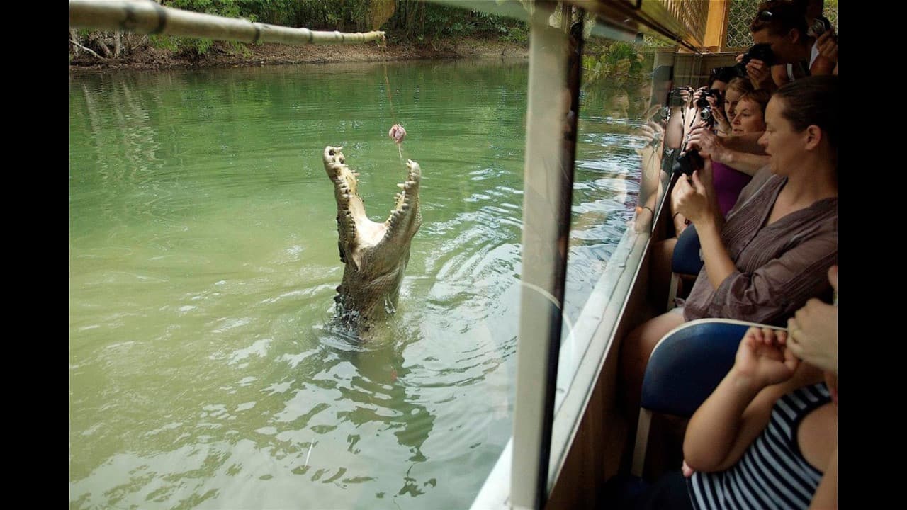 Hartley's Crocodile Adventures and Kuranda Tour from Port Douglas - მთავარი სურათი