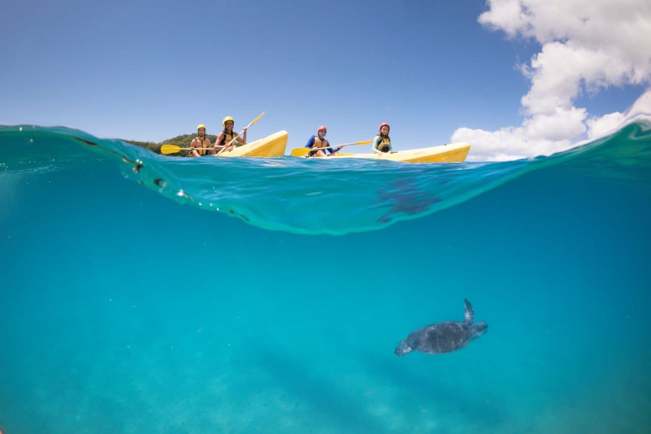 Byron Bay Kayaking Experience with Dolphins - სურათი 2