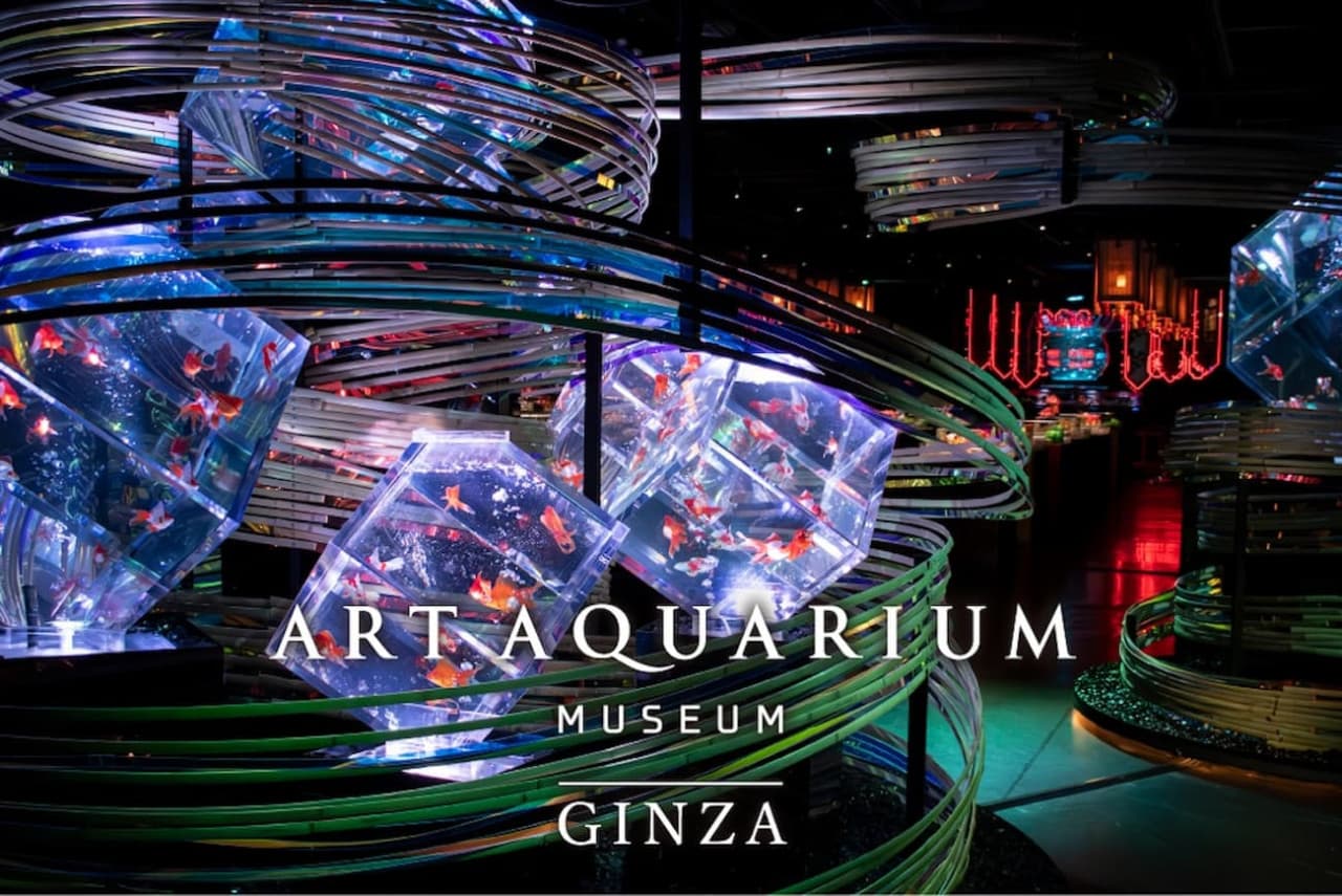 Art Aquarium Museum GINZA Ticket - მთავარი სურათი