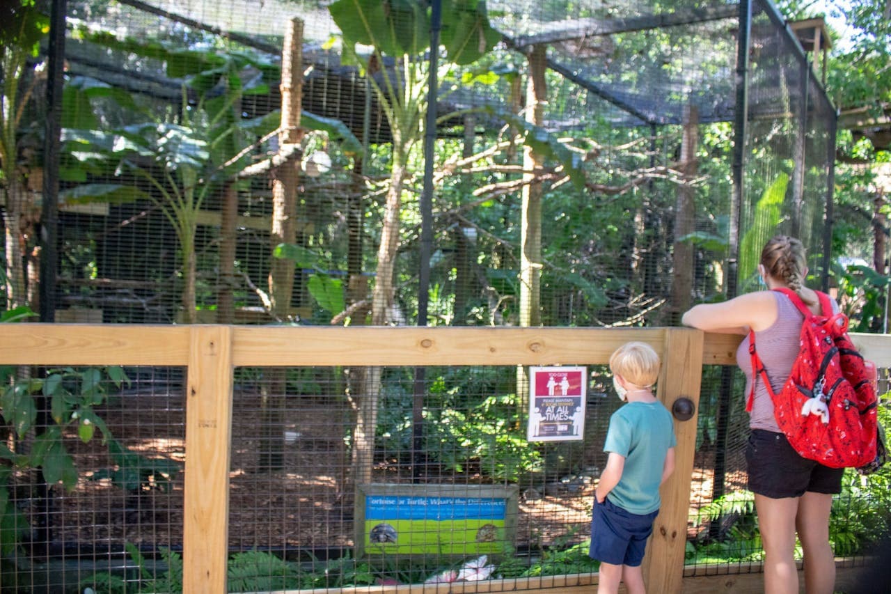Central Florida Zoo & Botanical Gardens Ticket - სურათი 9