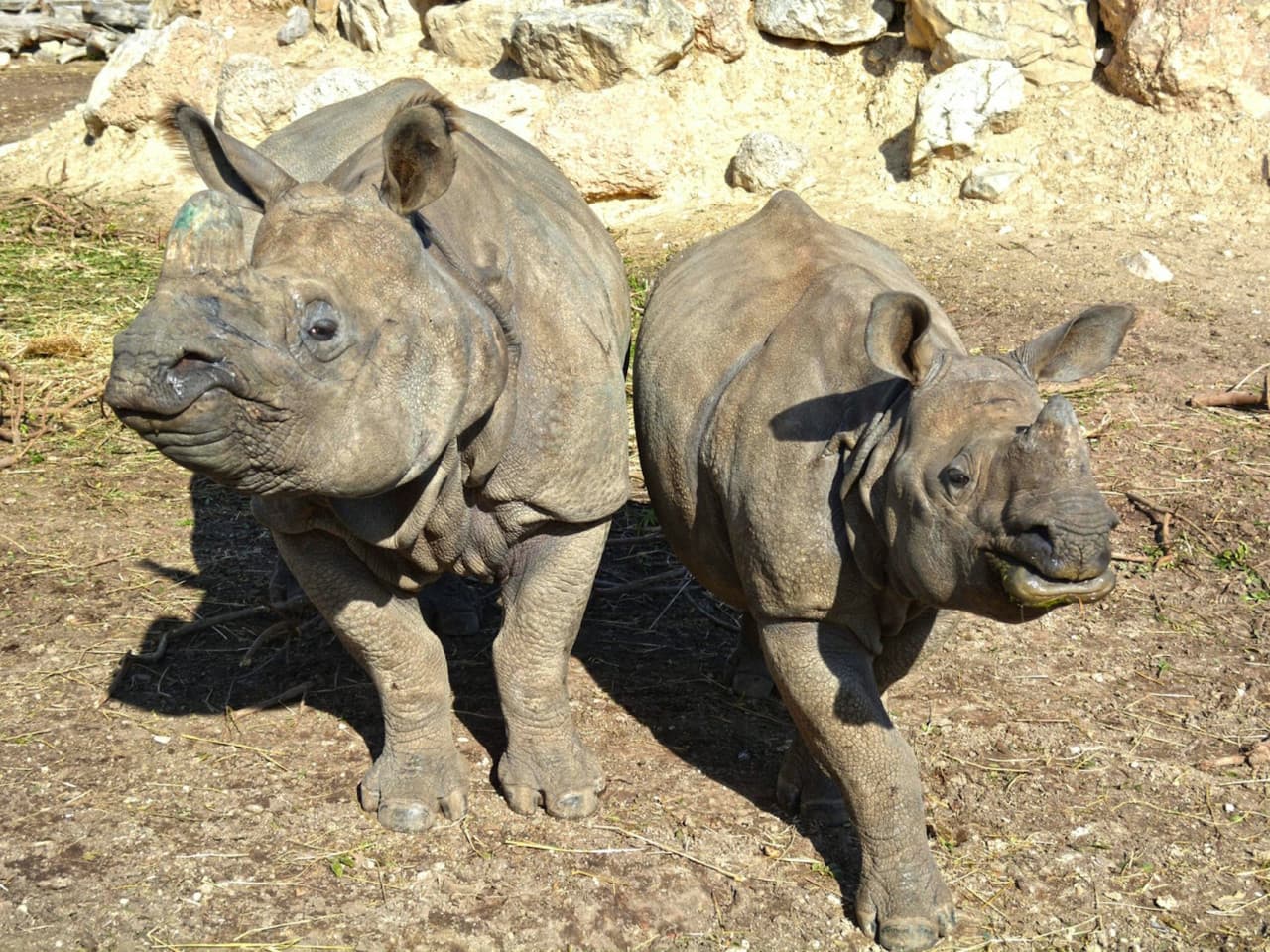 Terra Natura Benidorm: Entry Ticket - სურათი 3