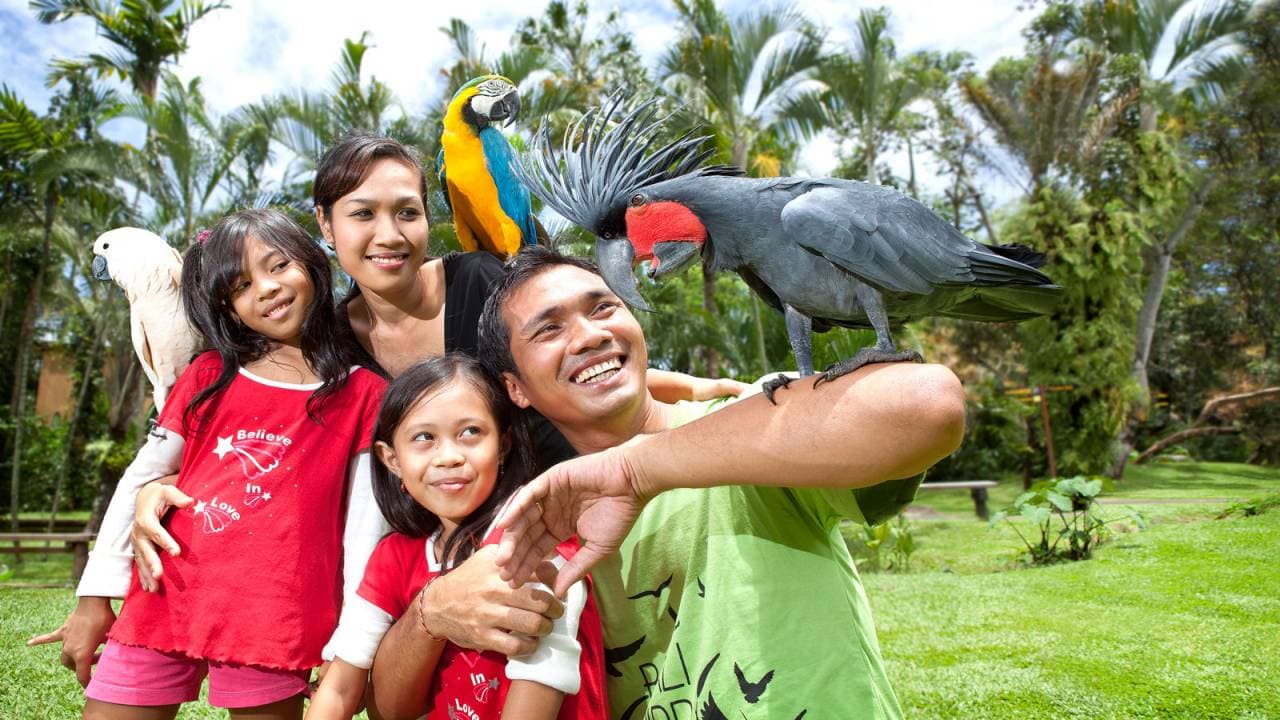 Bali Bird Park Ticket - სურათი 2