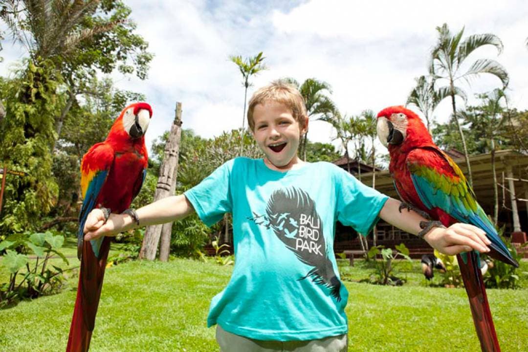 Bali Bird Park Ticket - სურათი 10