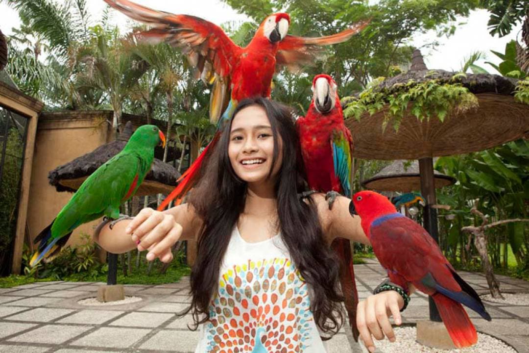 Bali Bird Park Ticket - სურათი 8