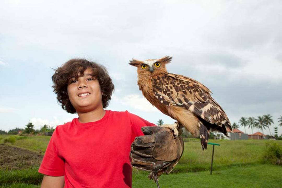 Bali Bird Park Ticket - სურათი 11