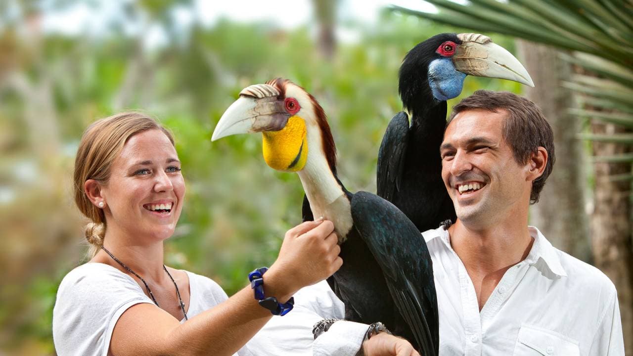 Bali Bird Park Ticket - მთავარი სურათი