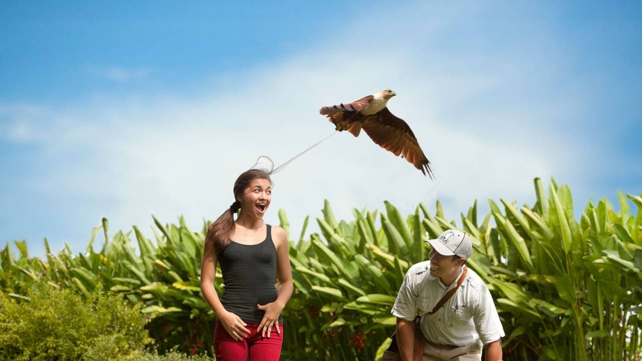 Bali Bird Park Ticket - სურათი 3
