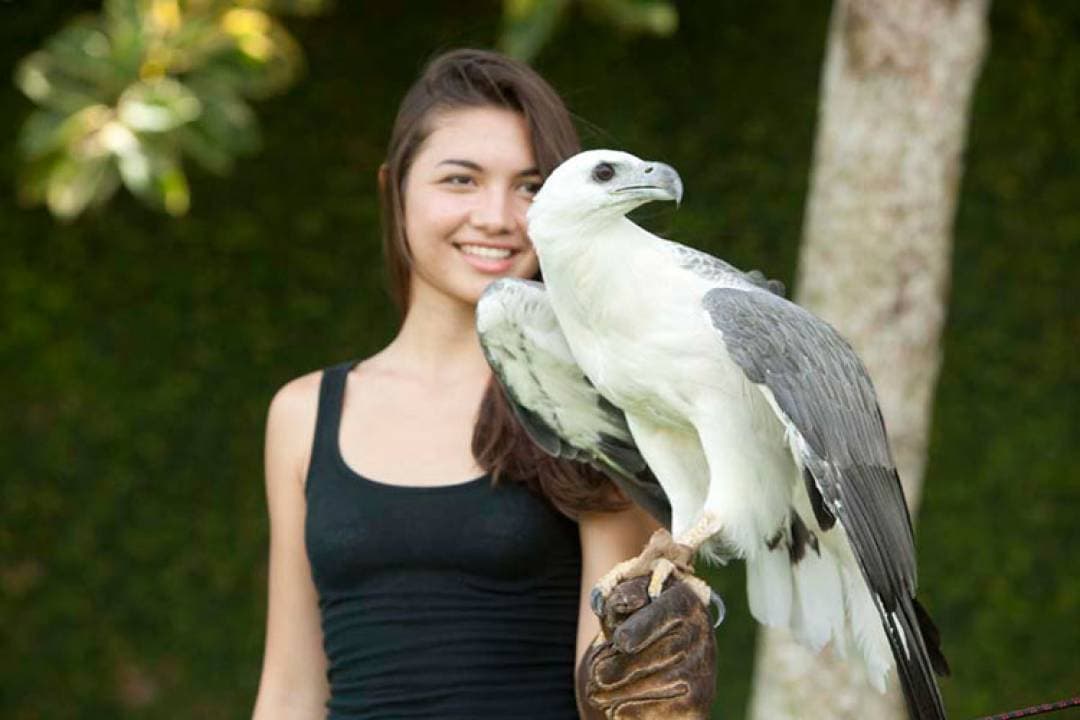 Bali Bird Park Ticket - სურათი 9