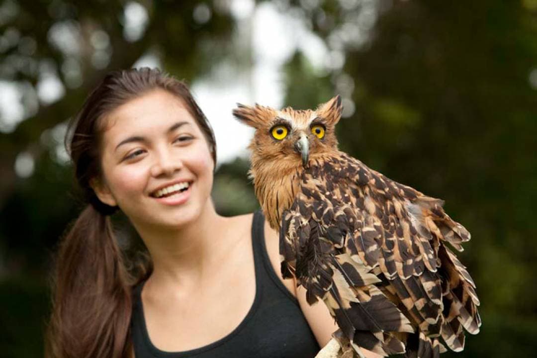 Bali Bird Park Ticket - სურათი 7