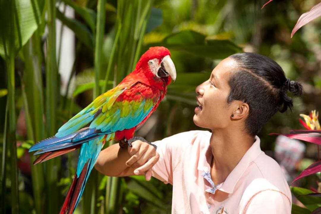 Bali Bird Park Ticket - სურათი 4