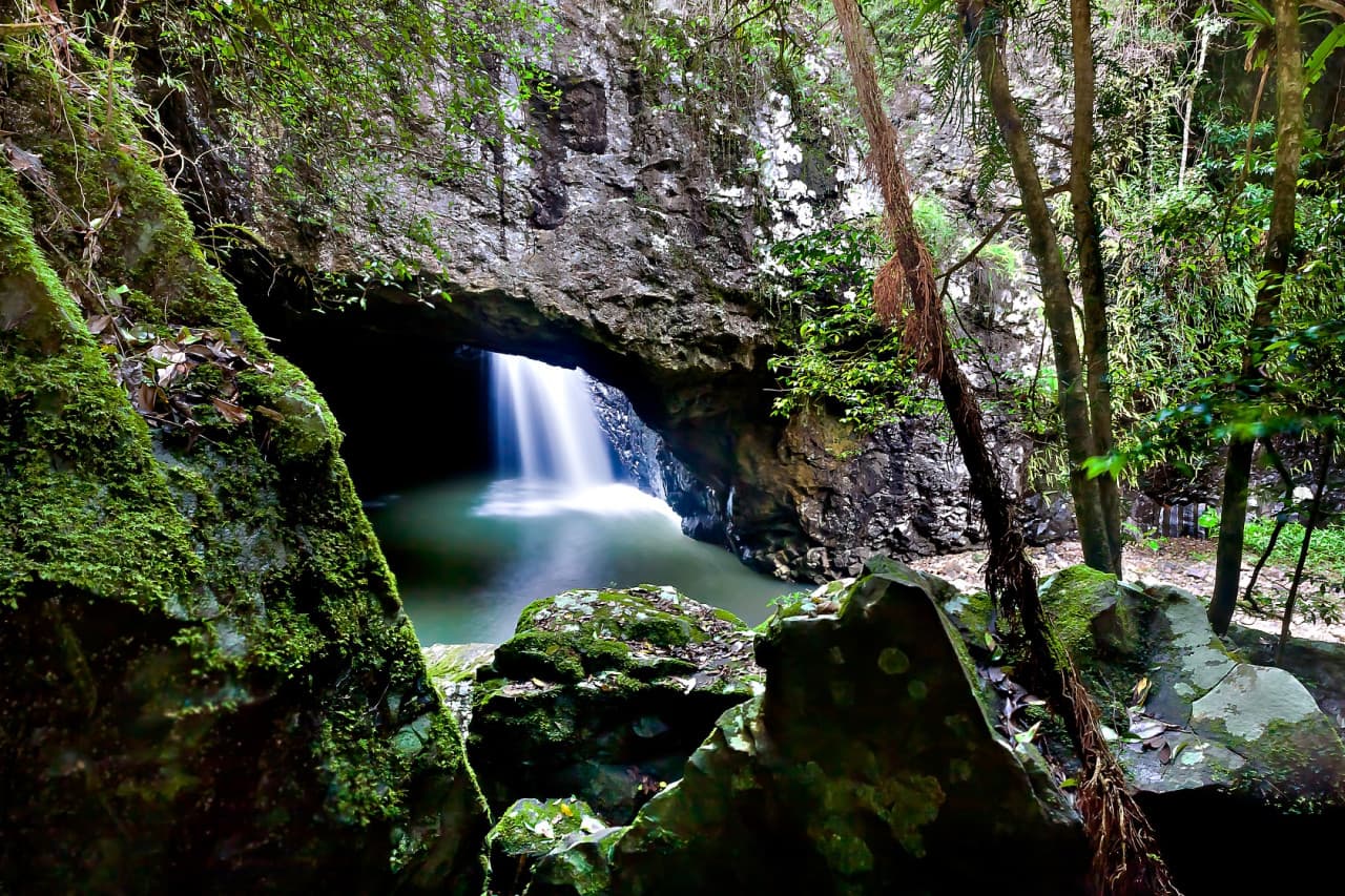 Springbrook National Park Tour: Natural Bridge and Waterfalls - სურათი 6