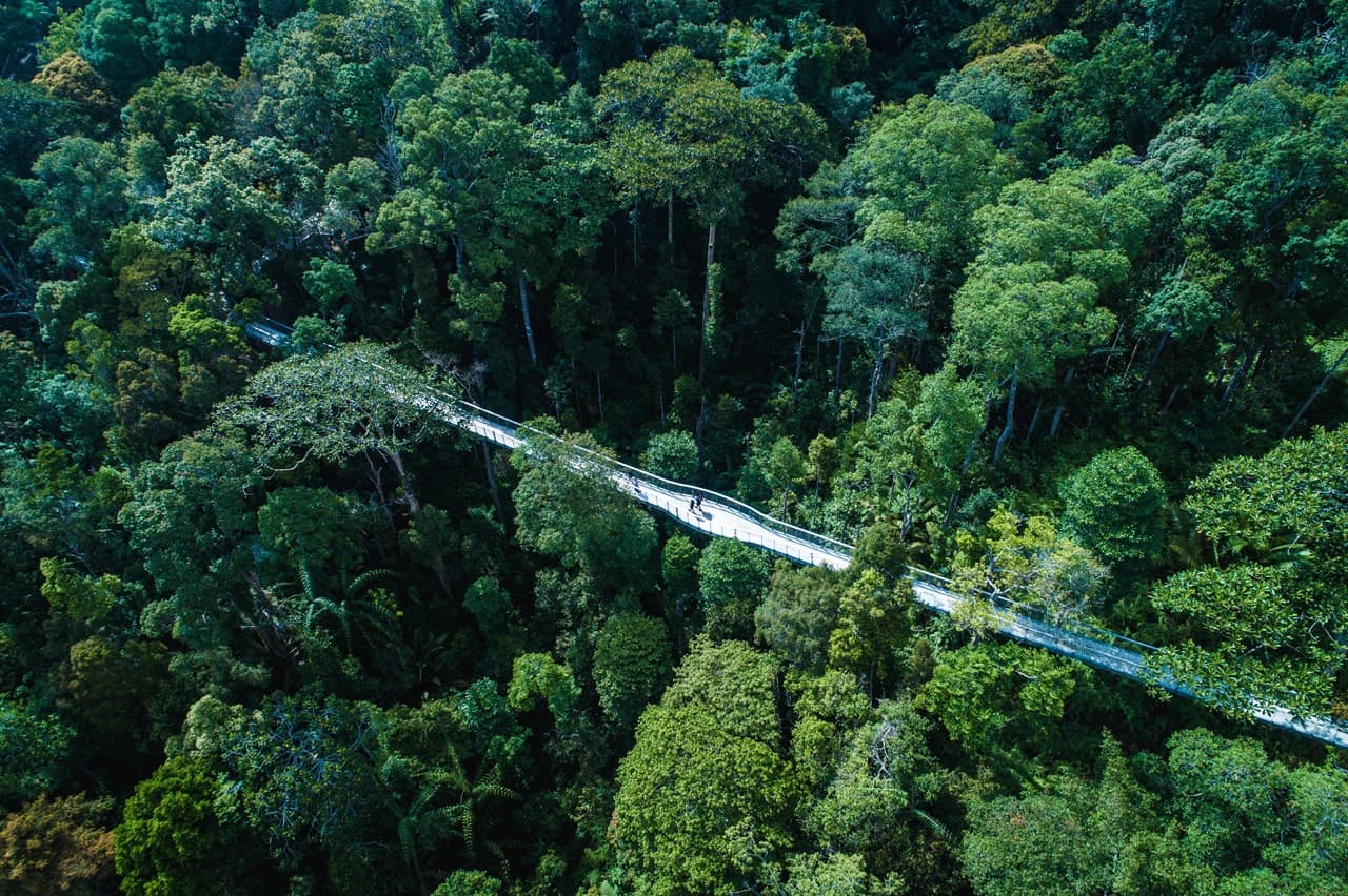 The Habitat Penang Hill Ticket - სურათი 10