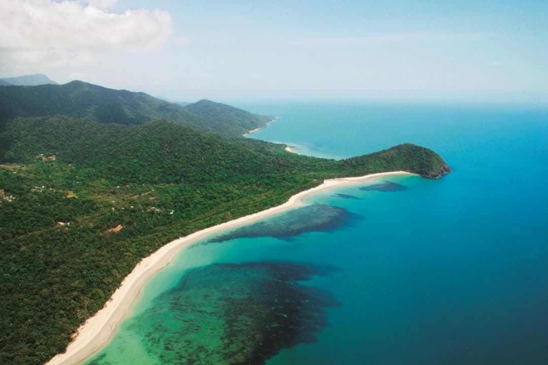 Cape Tribulation and Daintree Wilderness Full-Day Tour - სურათი 8