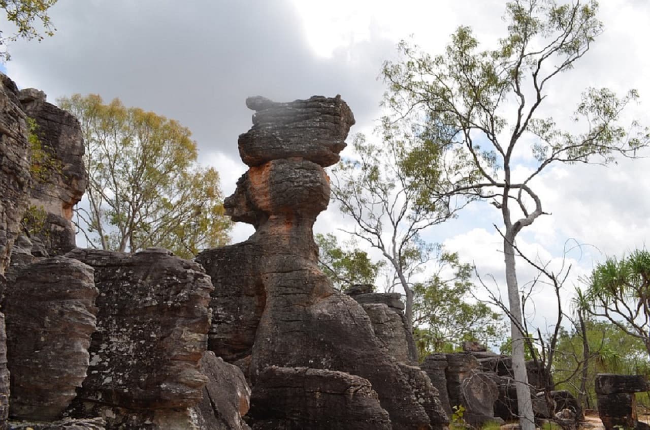 Litchfield National Park and Waterfalls Tour from Darwin - სურათი 3