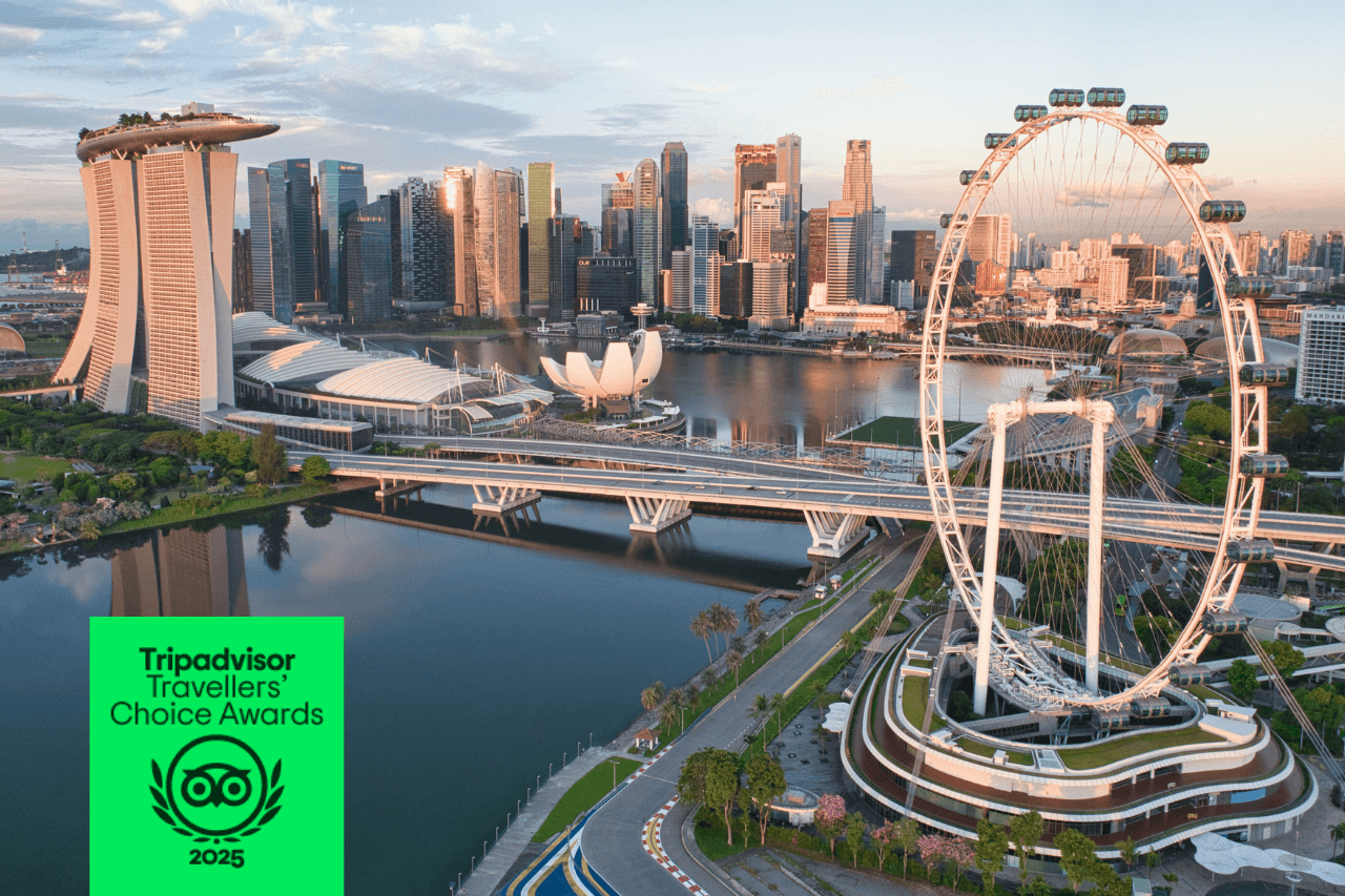 COMBO: Singapore Flyer + Gardens by the Bay Ticket - სურათი 2