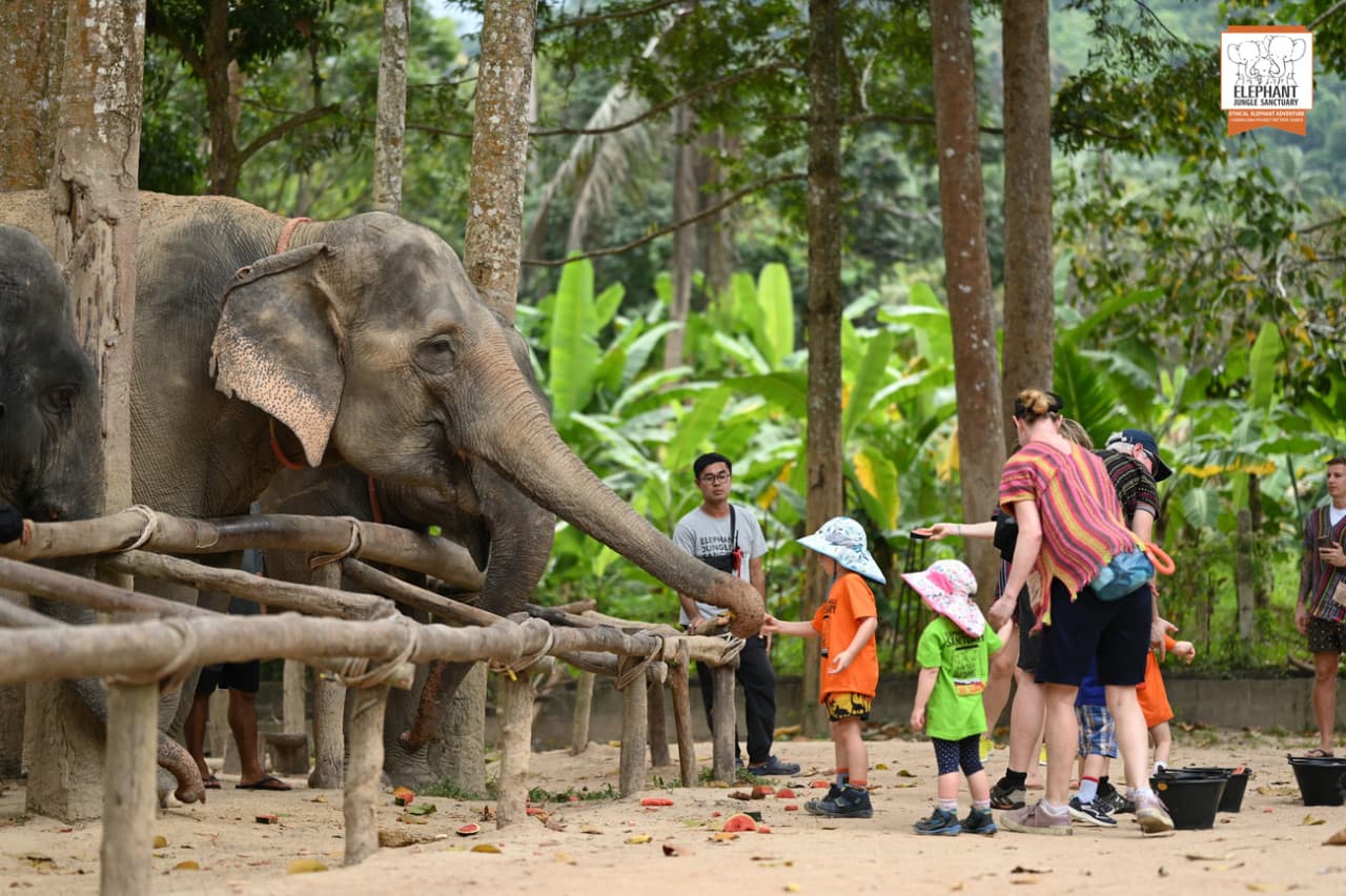 Elephant Jungle Sanctuary Koh Samui - მთავარი სურათი
