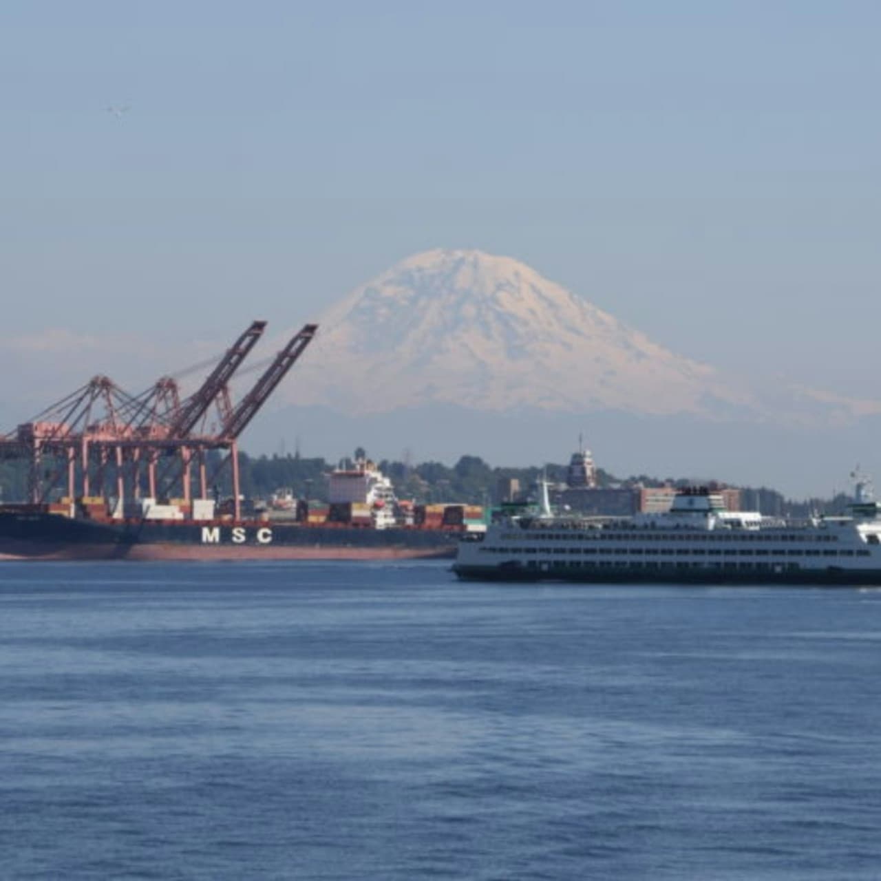 Seattle Harbor Cruise - სურათი 14