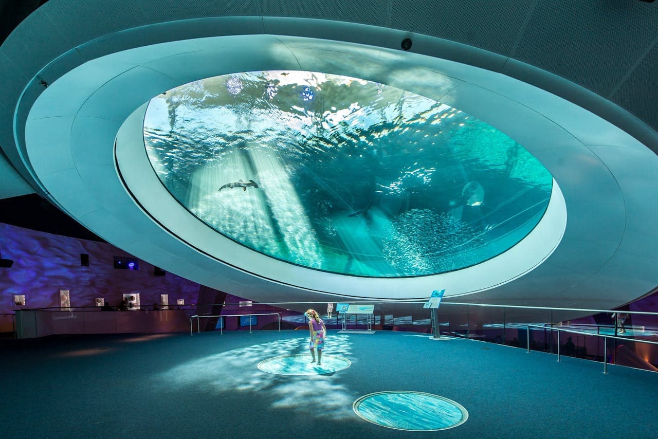 Phillip & Patricia Frost Museum of Science, Aquarium and Planetarium Ticket - მთავარი სურათი