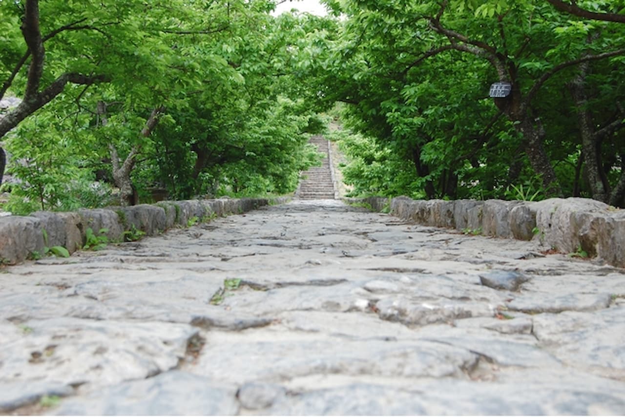 Nakijin Castle Ruins Ticket - სურათი 2
