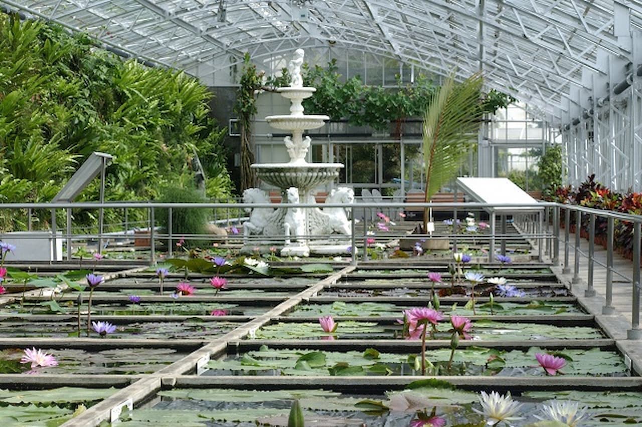 Atagawa Tropical and Alligator Garden Ticket - სურათი 4