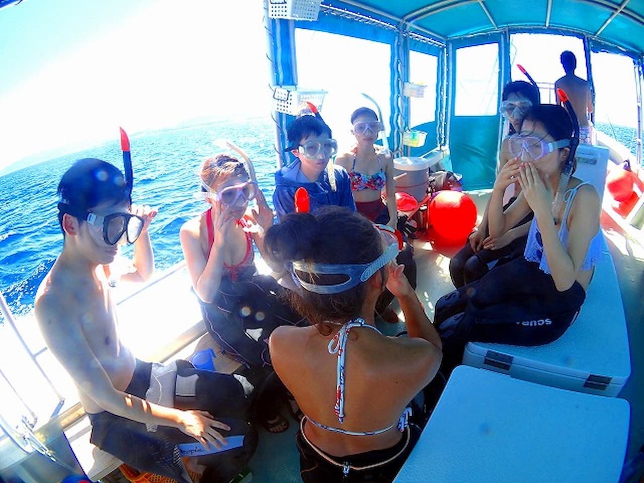 Half-Day Morning Snorkeling Tour with Phantom Island Visit - სურათი 11
