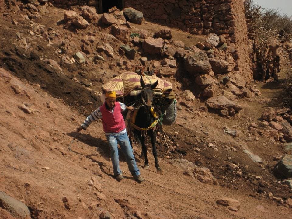 Berber Trail Full-Day 4WD Tour from Marrakech - მთავარი სურათი