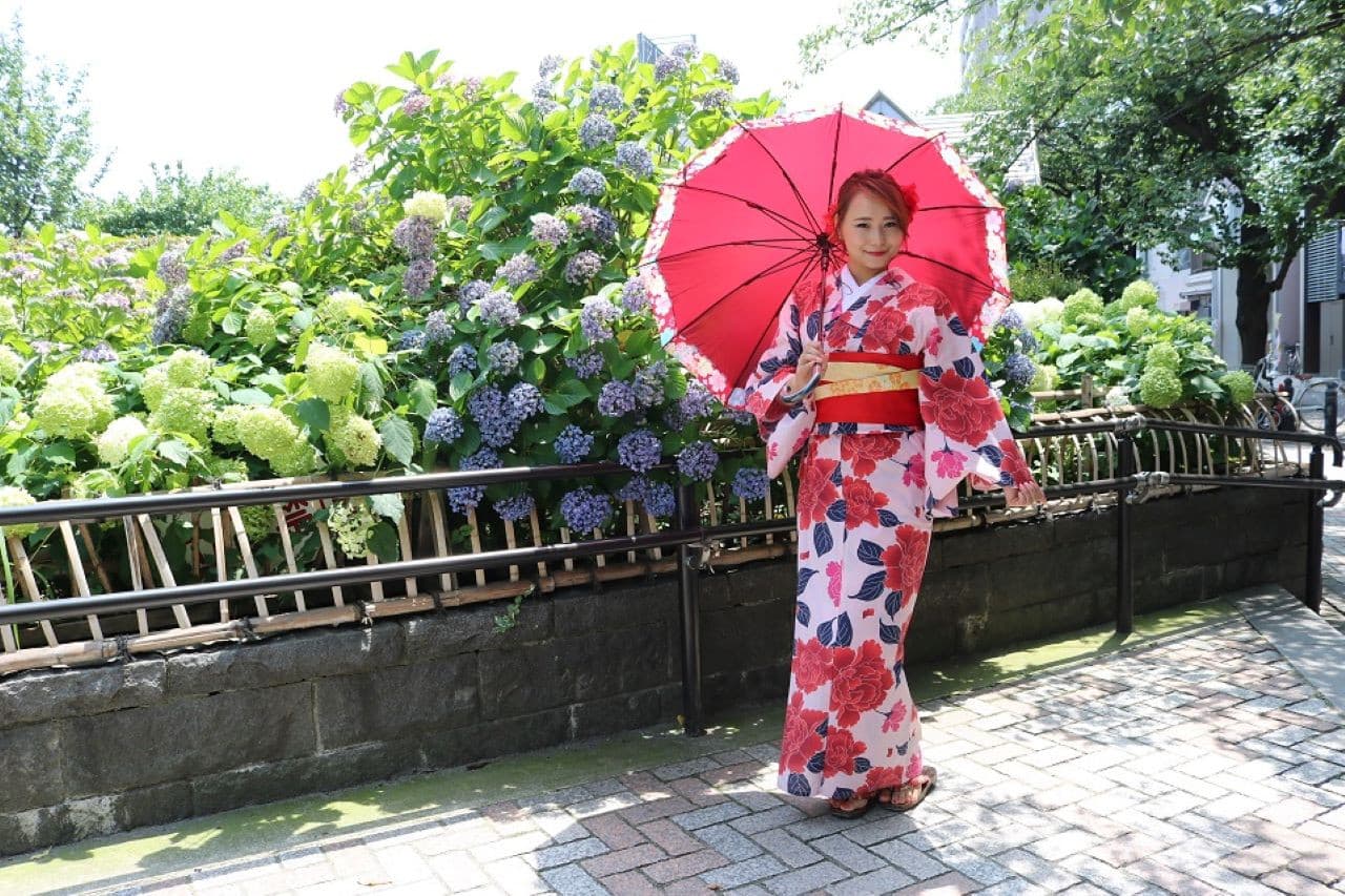 Kimono Rental in Tokyo, Asakusa - სურათი 24