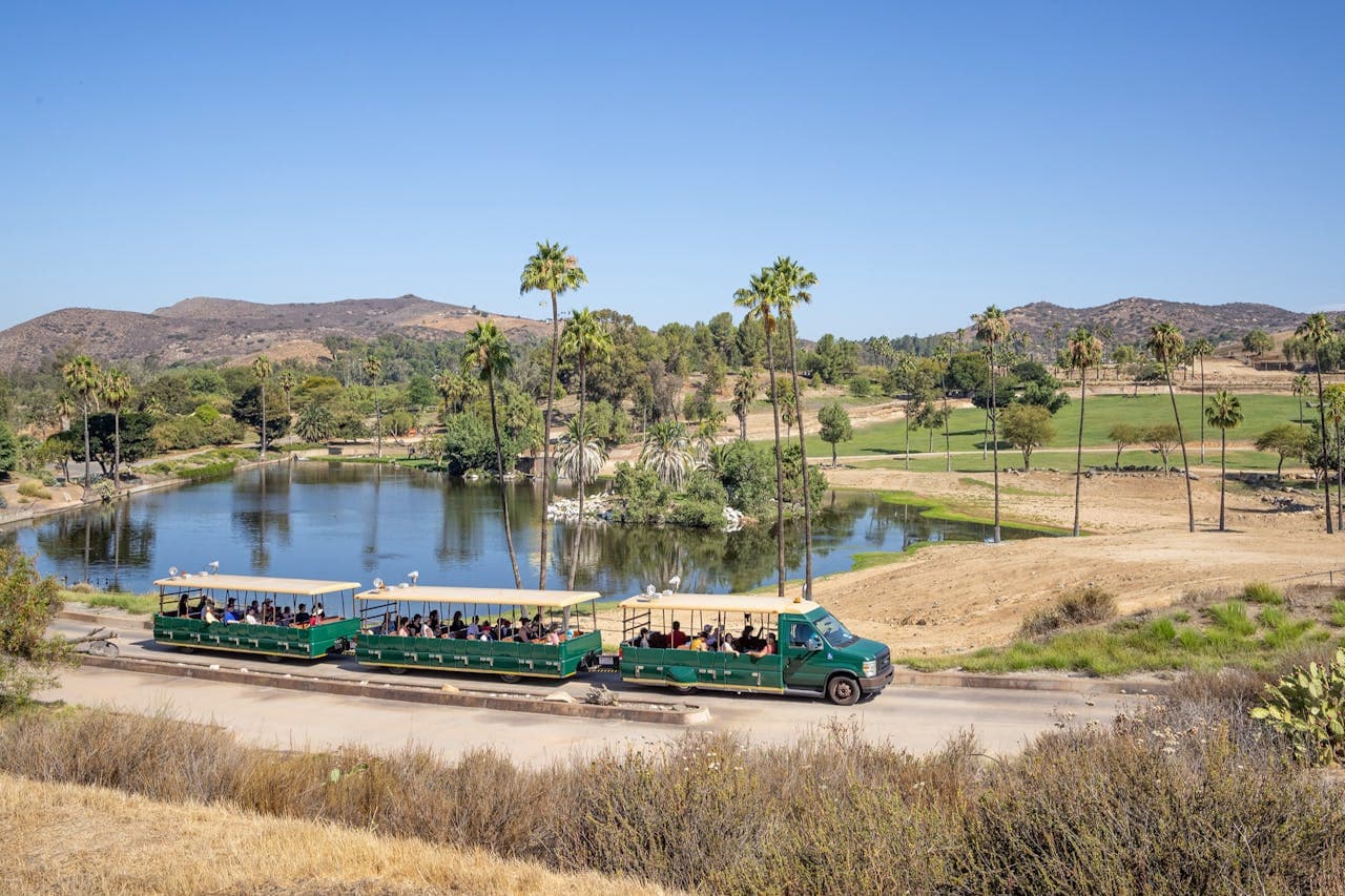 San Diego Zoo Safari Park Ticket - სურათი 2