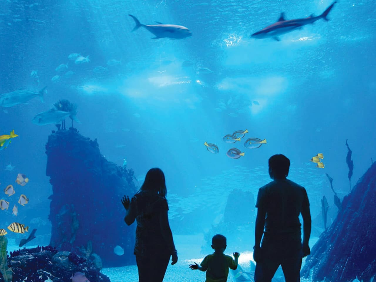 Antalya Aquarium and Face 2 Face Wax Museum Ticket - სურათი 2