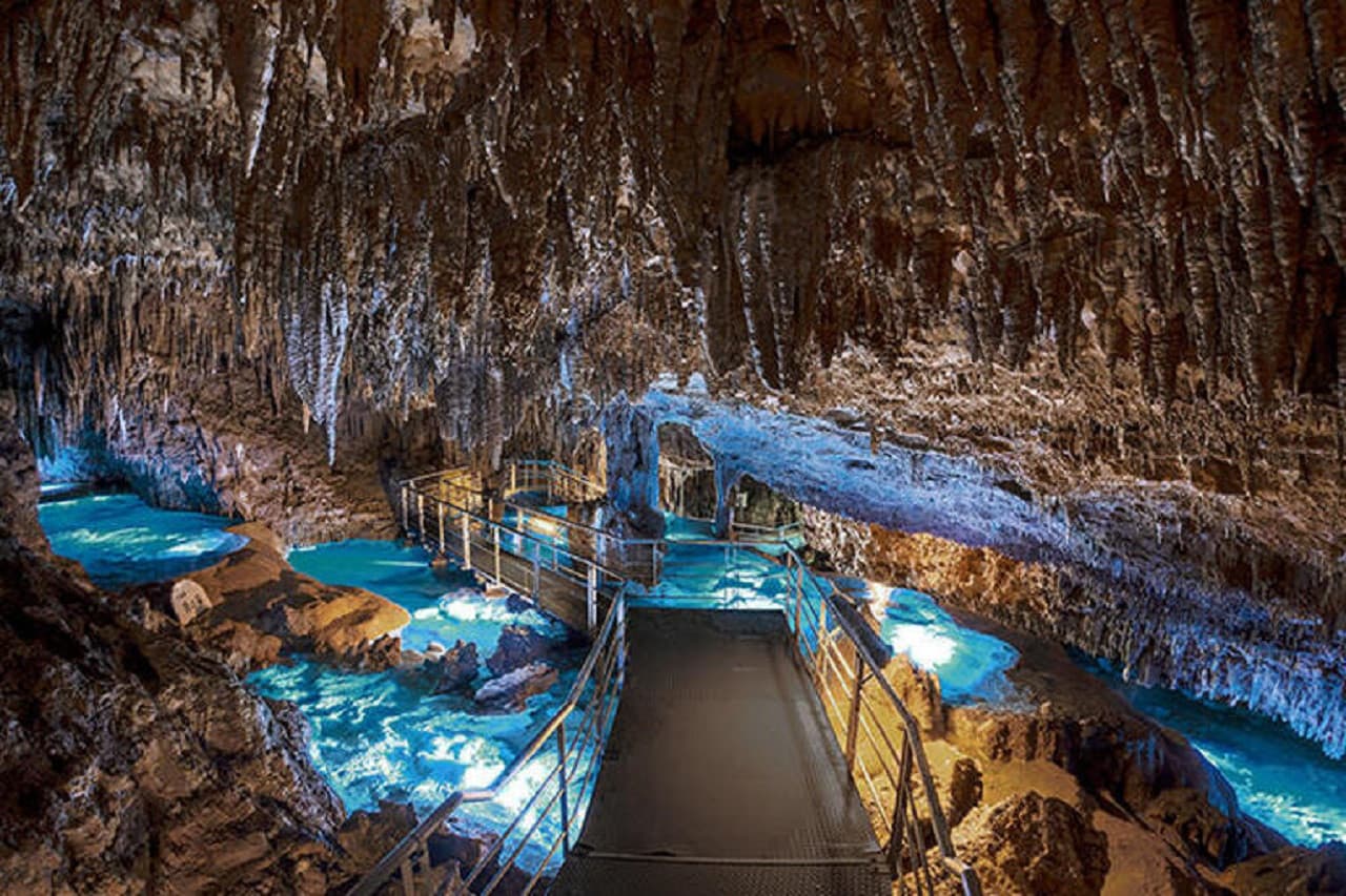 Okinawa Churaumi TokuToku 5 Pass - სურათი 13