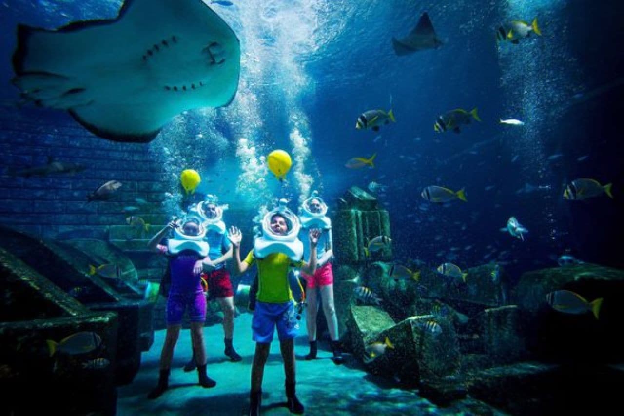 Atlantis Dubai Ticket - სურათი 12