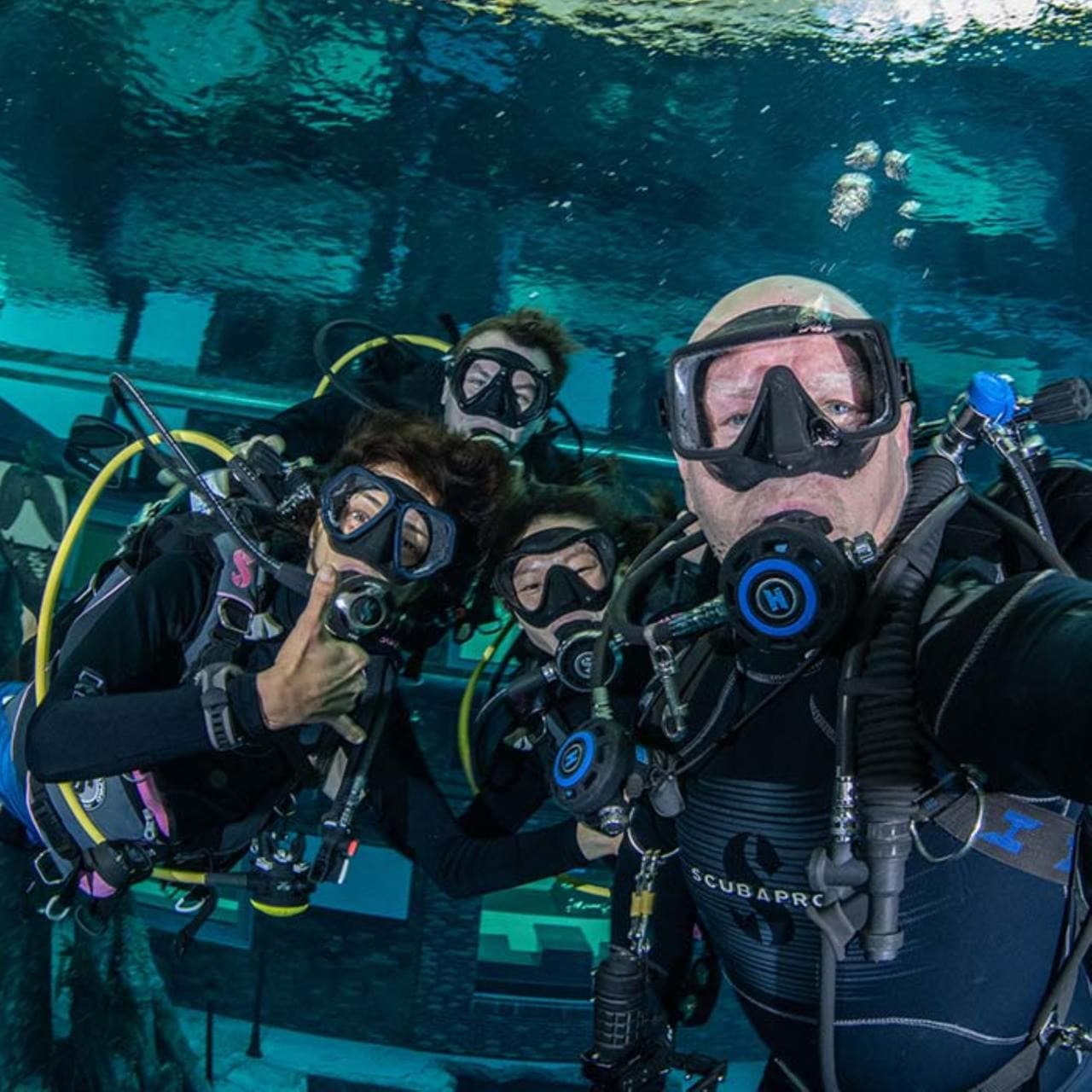 Scuba Diving and Snorkelling at Deep Dive Dubai - სურათი 5