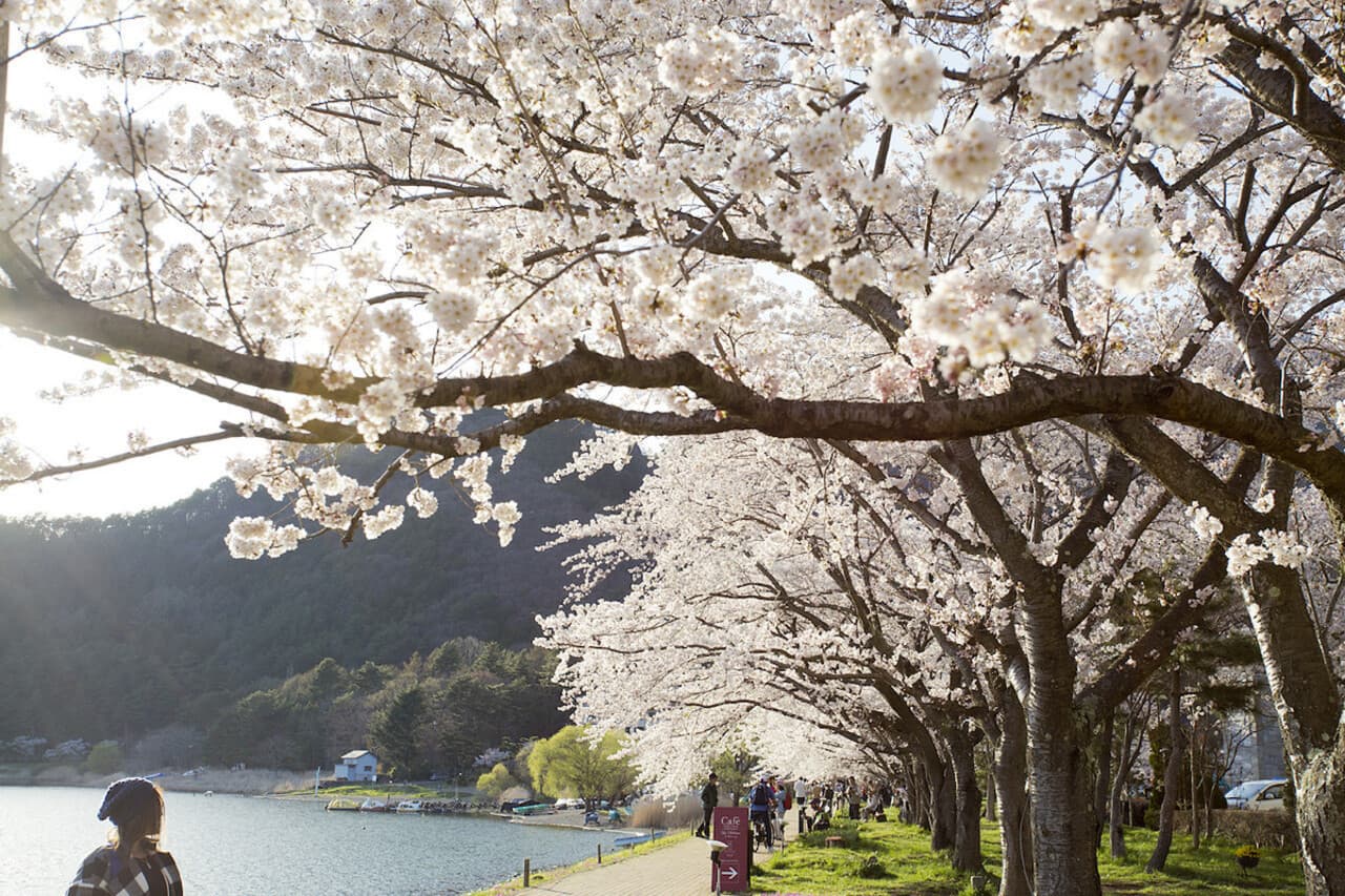 Mount Fuji Day Tour with Kawaguchiko Lake - სურათი 4