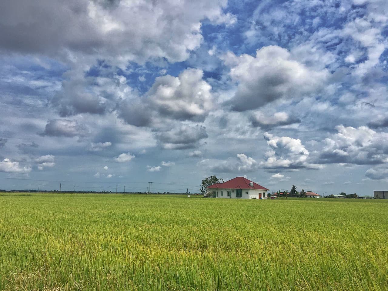 Sky Mirror and Sekinchan Paddy Field Tour from Kuala Lumpur - სურათი 8