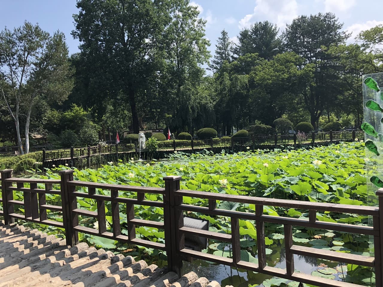 Nami Island and Mount Seorak Full-Day Tour from Seoul - სურათი 7
